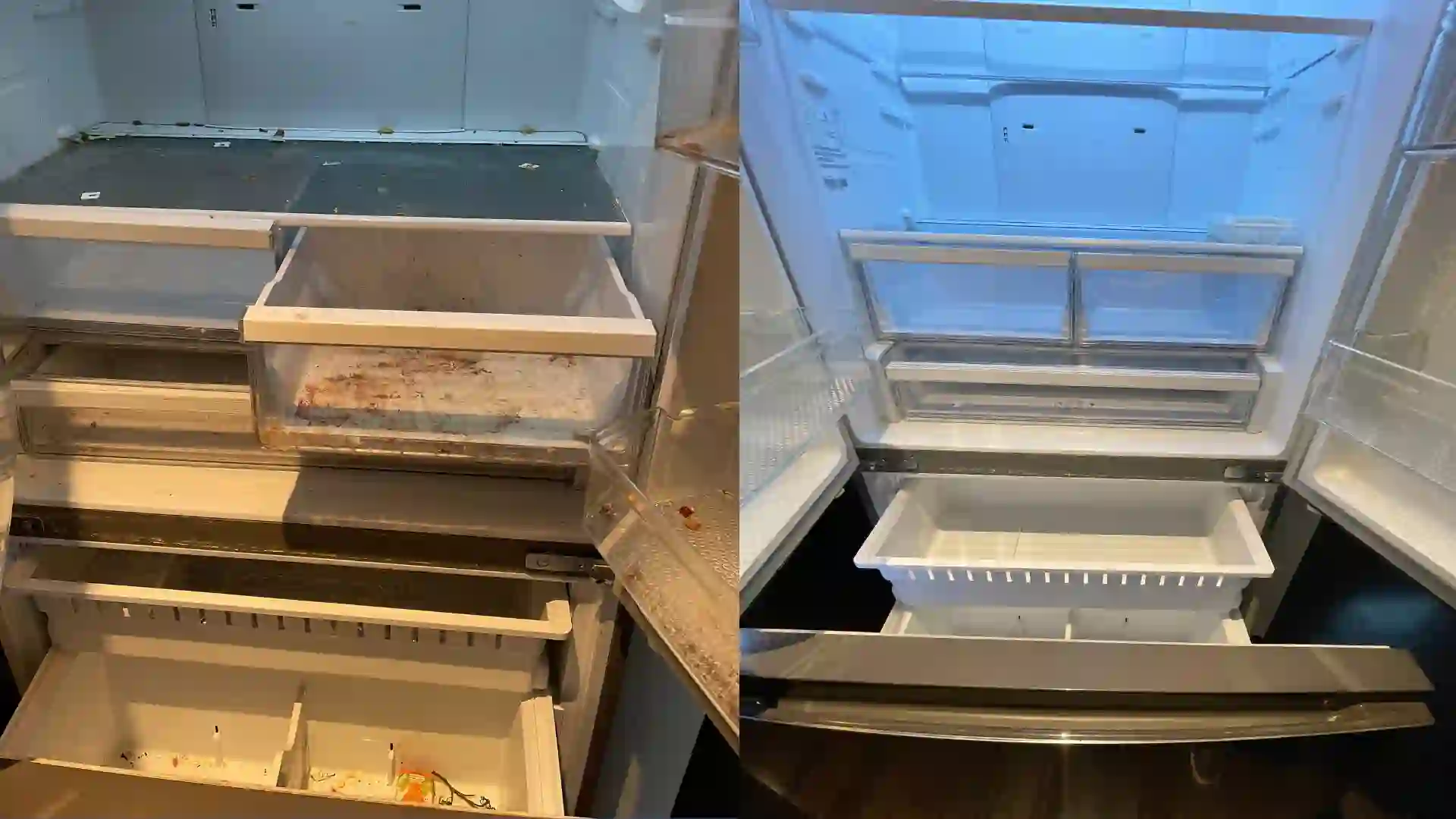 Fridge deep cleaning service